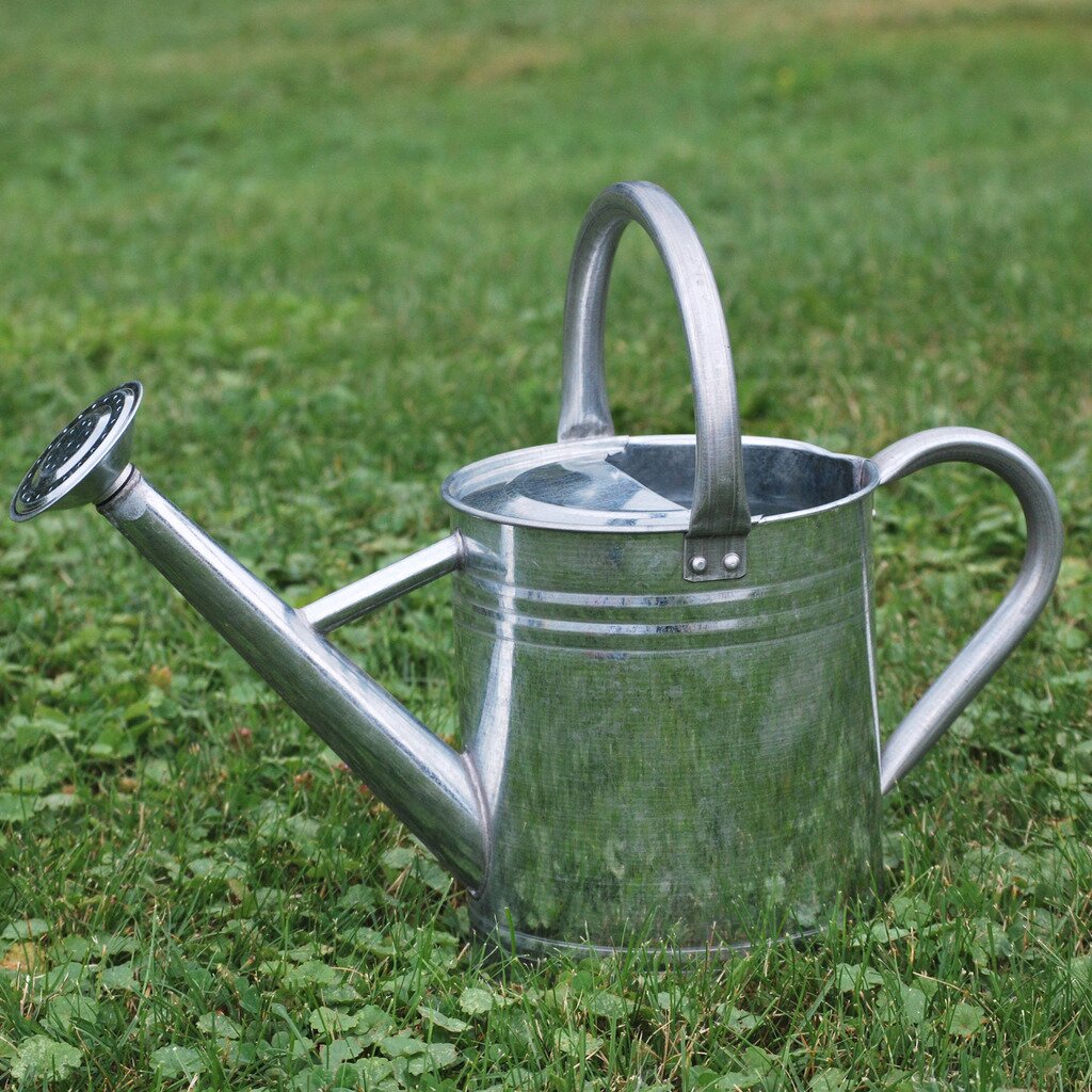 BFG Supply Co Gardener s Select 1.85-Gallon Watering Can