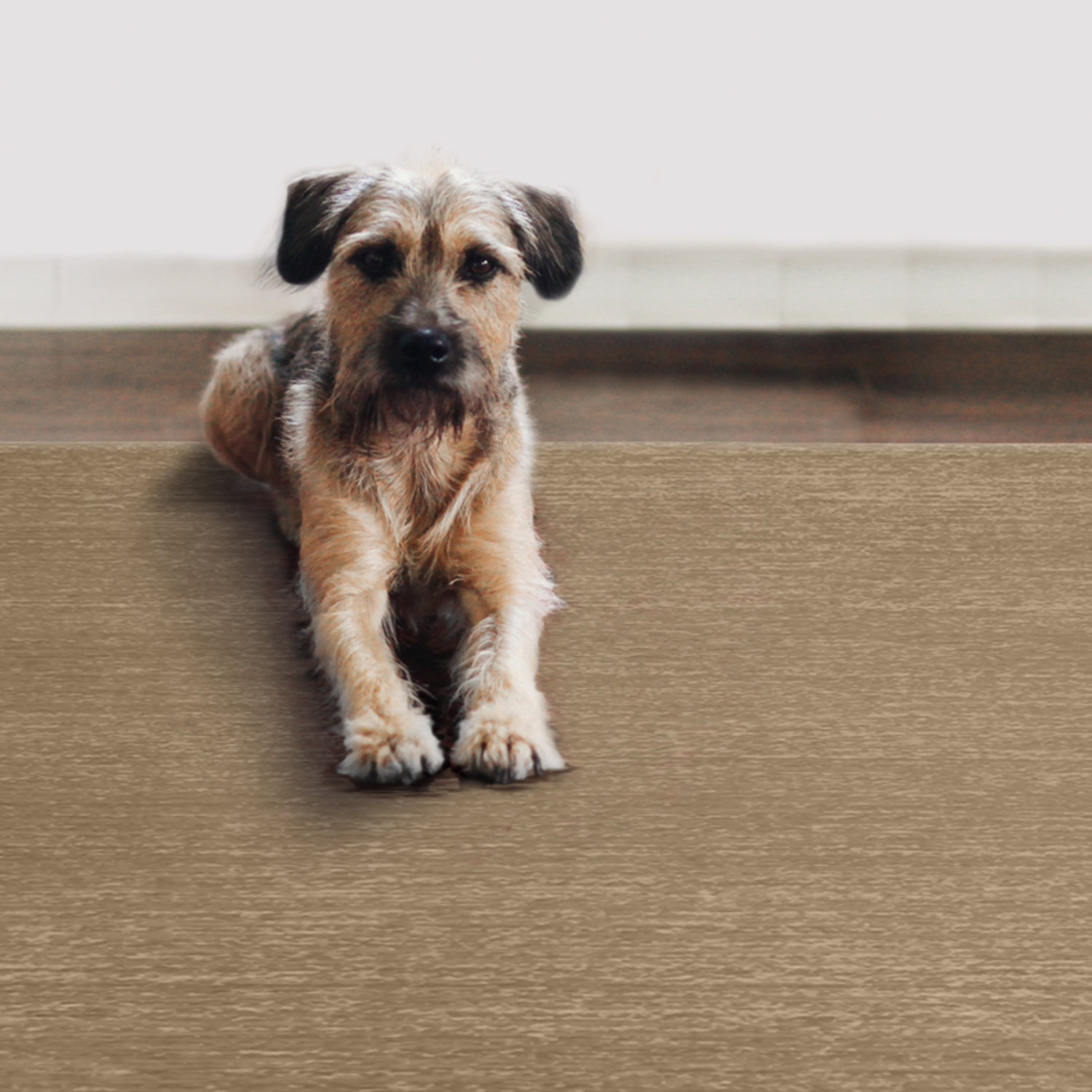 Ruggable Natural Indoor/Outdoor Area Rug & Reviews Wayfair