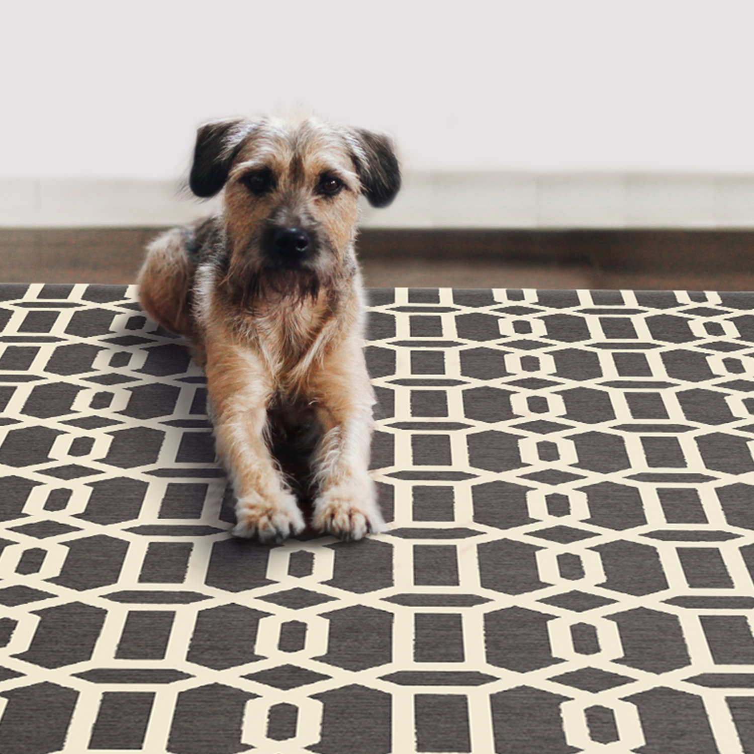 Ruggable Gray and White Area Rug Wayfair