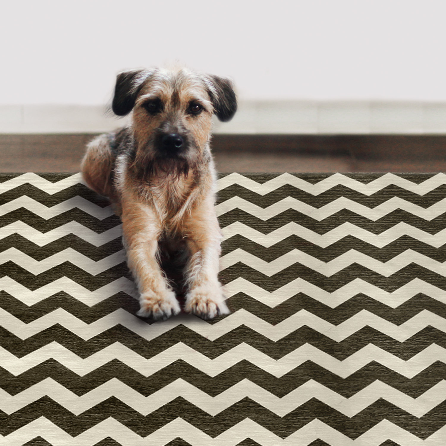 Ruggable Black and White Area Rug Wayfair