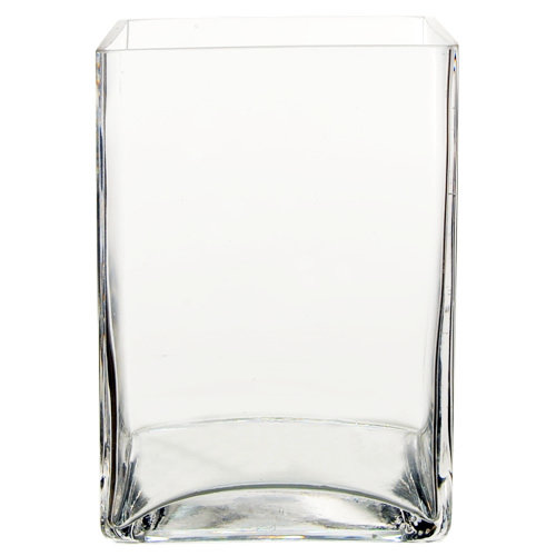 CYSExcel Glass Square Block Vase & Reviews Wayfair