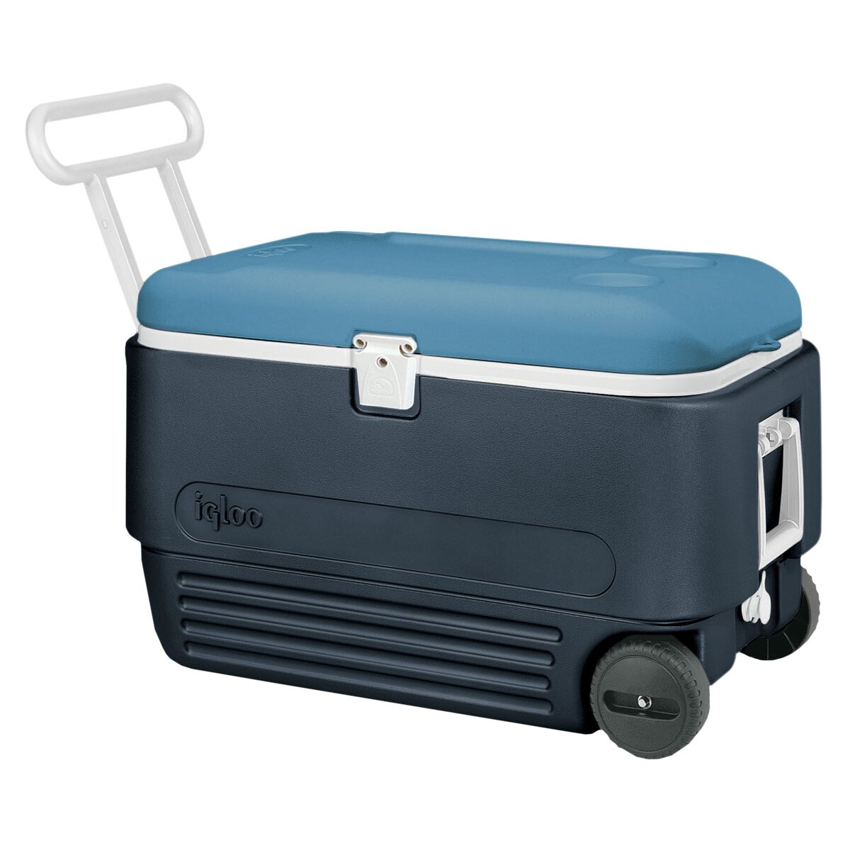 rolling cooler 60 qt