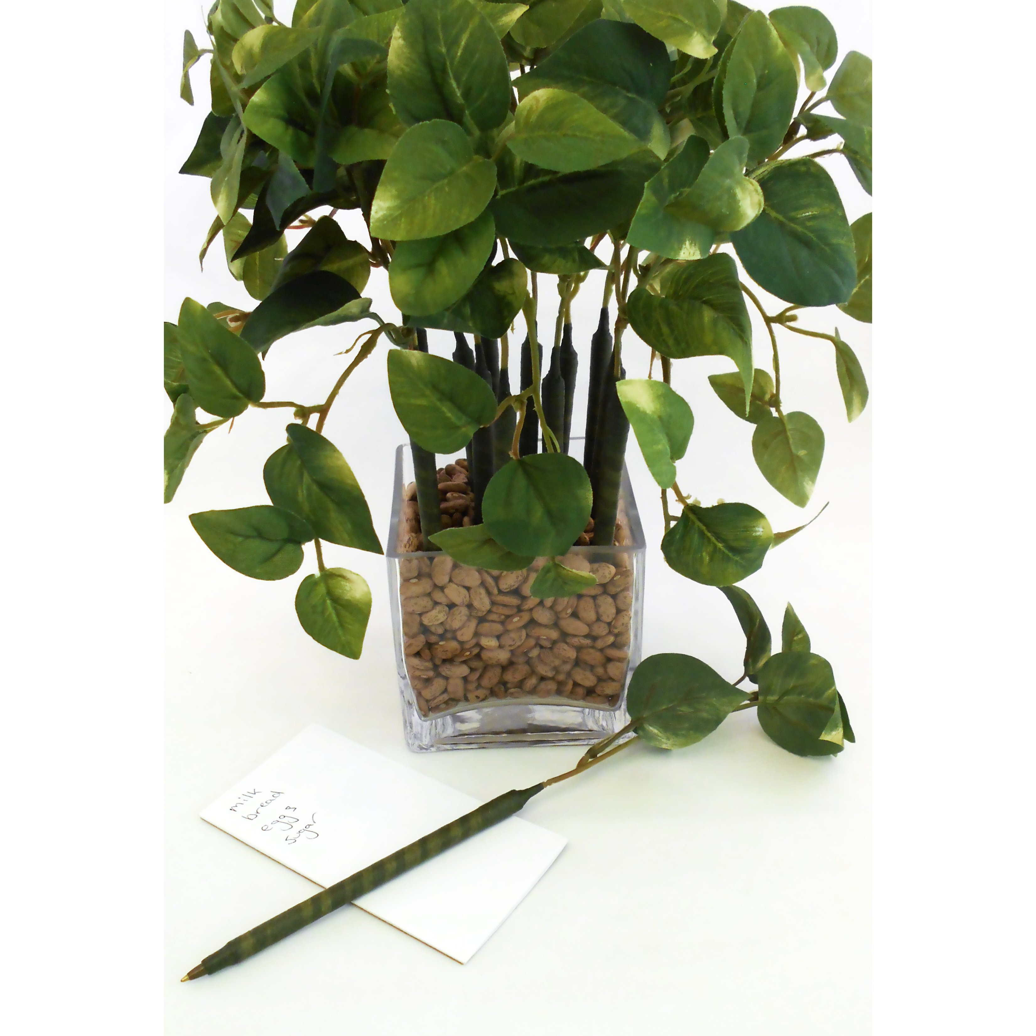 ThePenPlantFlorist Mini Pothos Pen Plant Wayfair