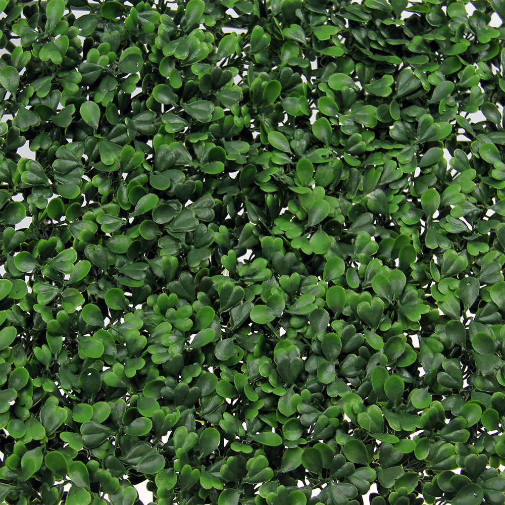 CenturyOutdoorLiving Boxwood 2' x 10' Artificial Covering Hedge Fence
