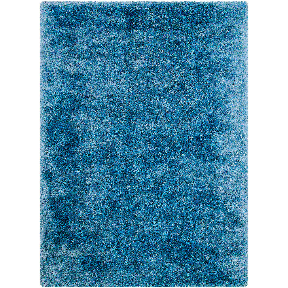 4 x 5 light blue rug