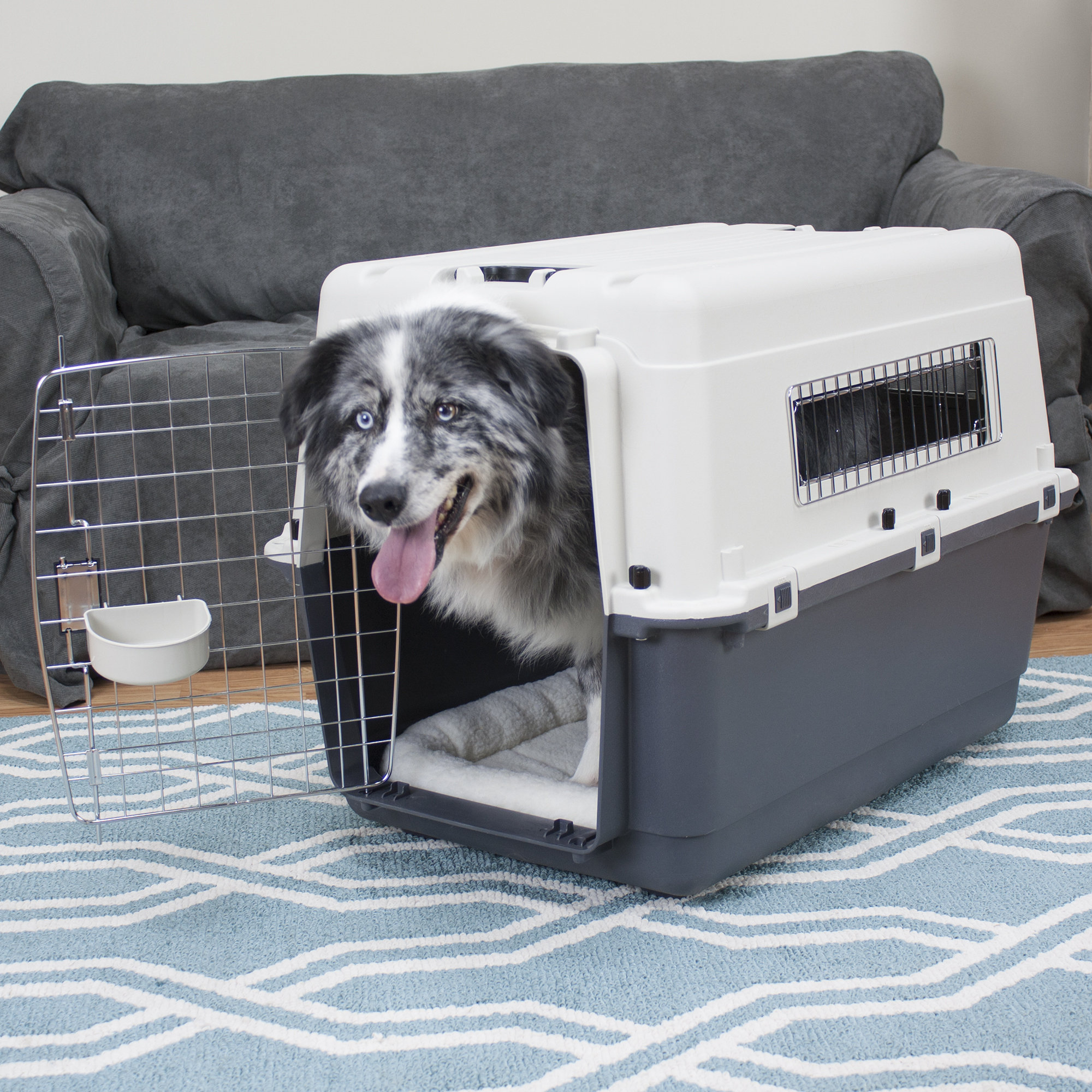 Kennels Direct Premium Plastic Dog Yard Kennel & Reviews Wayfair