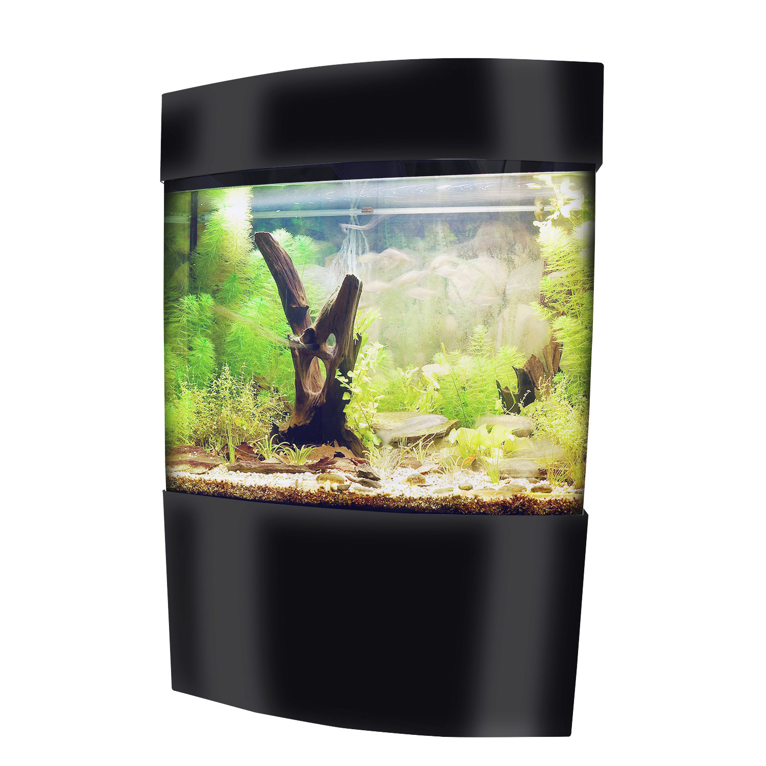 Vepotek Aquarium Tank Wayfair