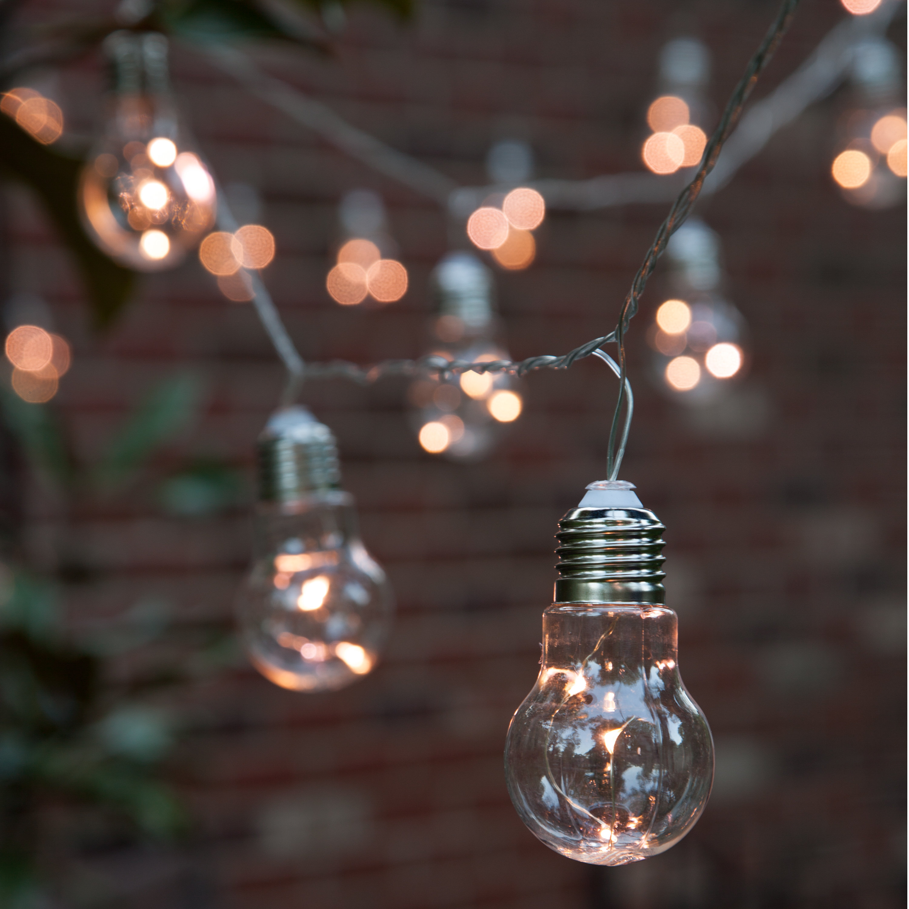The Gerson Companies 10Light Globe String Lights & Reviews Wayfair