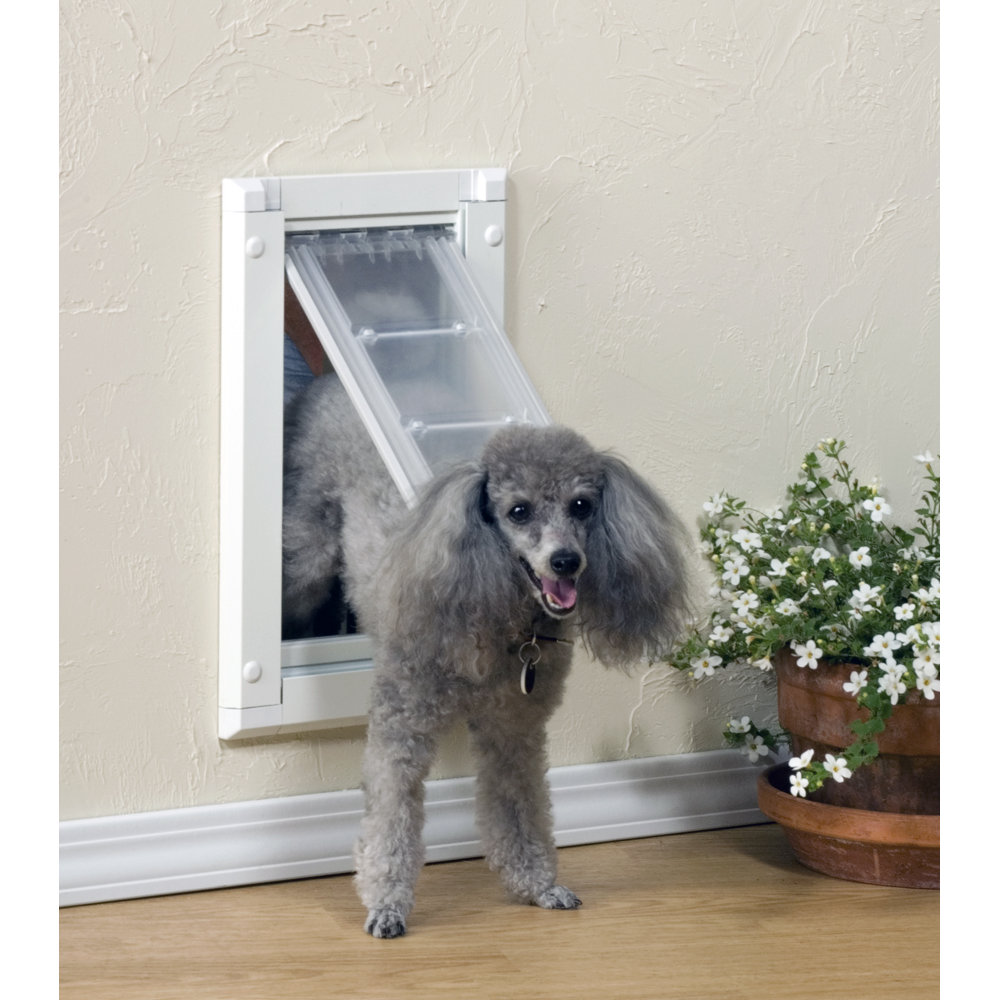 EnduraFlap Endura Wall Mount Single Flap Pet Door Wayfair