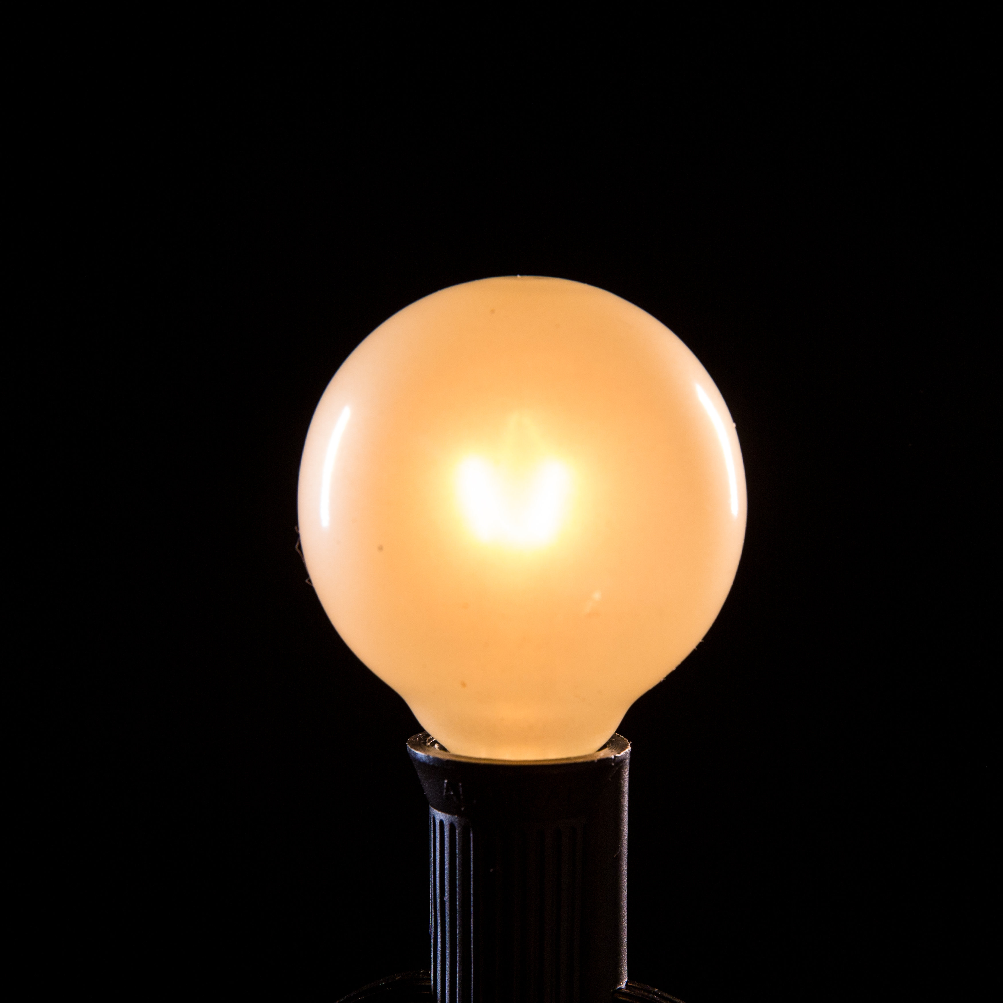 HometownEvolutionInc 50-Light Globe String Lights & Reviews Wayfair