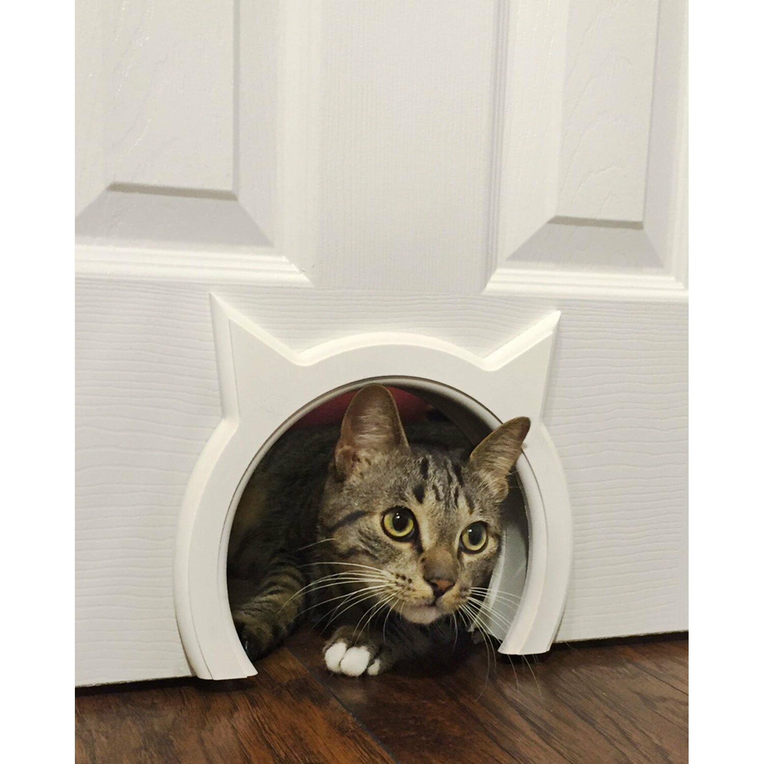 The Kitty Pass Interior Cat Door 1002 123 