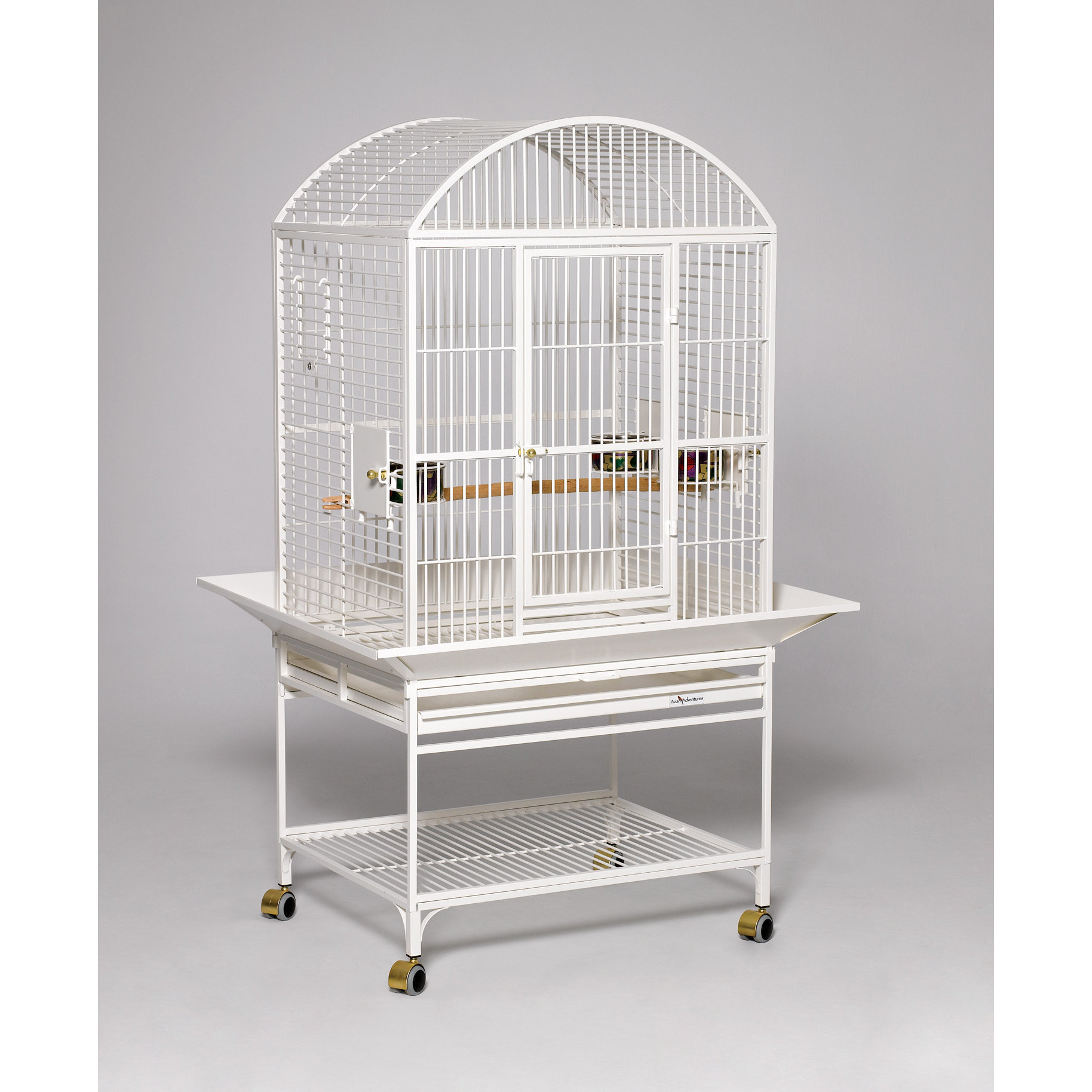 Avian Adventures Chiquita Play Top Bird Cage & Reviews Wayfair