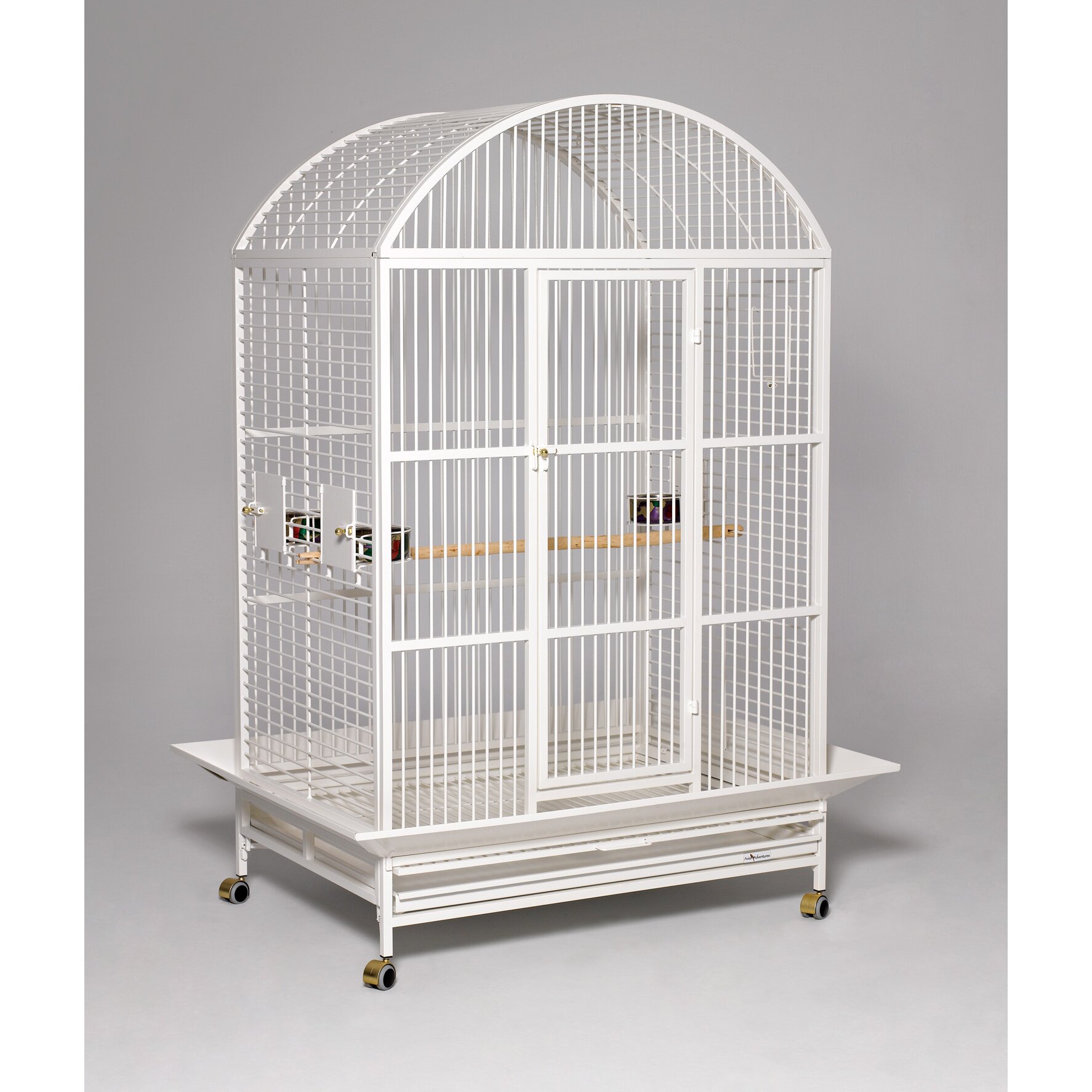 Avian Adventures Grande Dome Top Bird Cage & Reviews | Wayfair