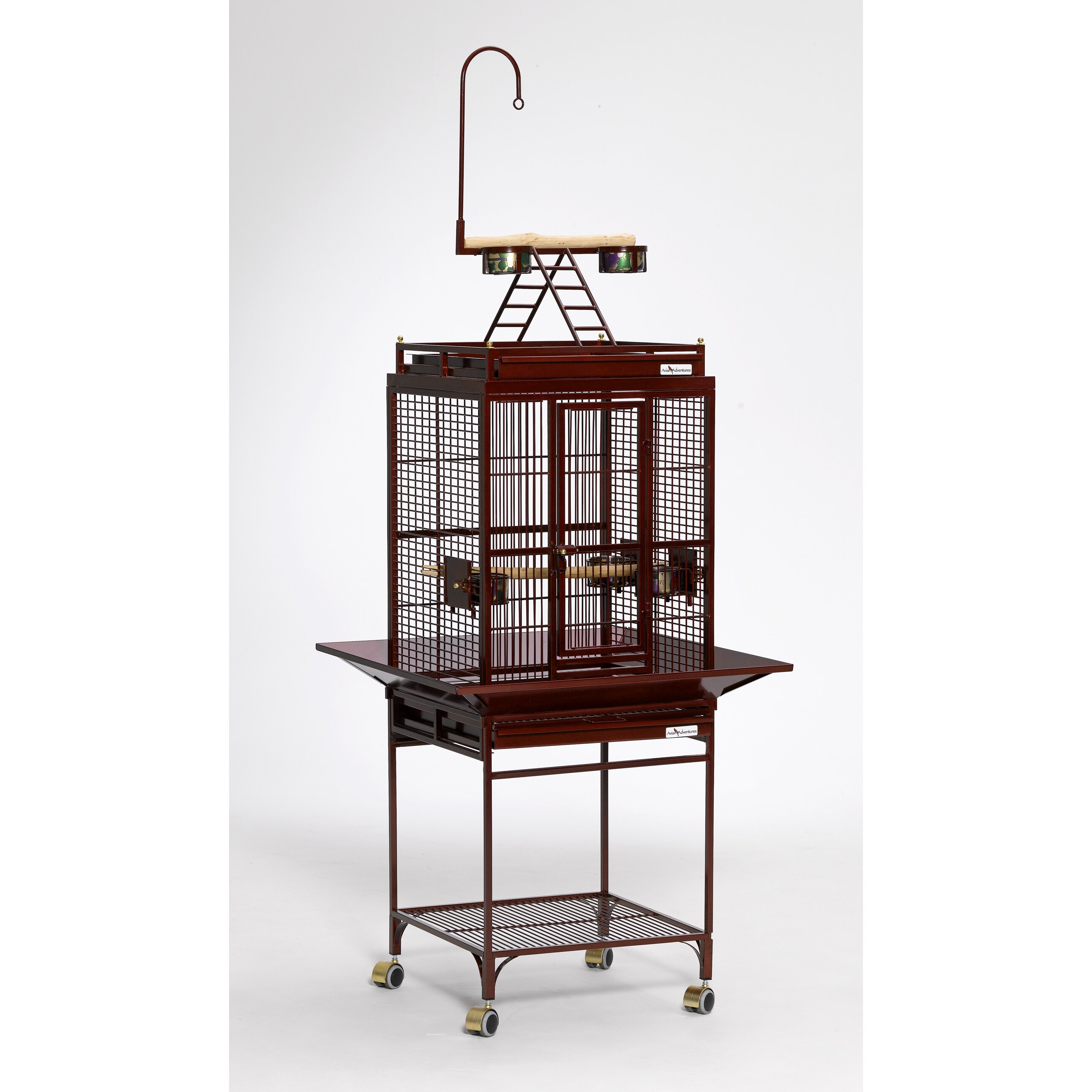 Avian Adventures Nina Playtop Bird Cage And Reviews Wayfair