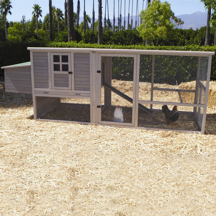 Precision Pet Extreme Chicken Coop &amp; Reviews Wayfair.ca