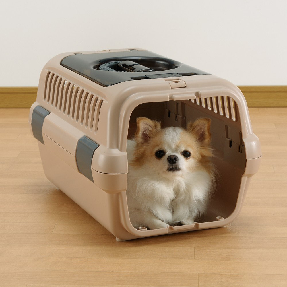 Richell Double Door Pet Carrier & Reviews Wayfair