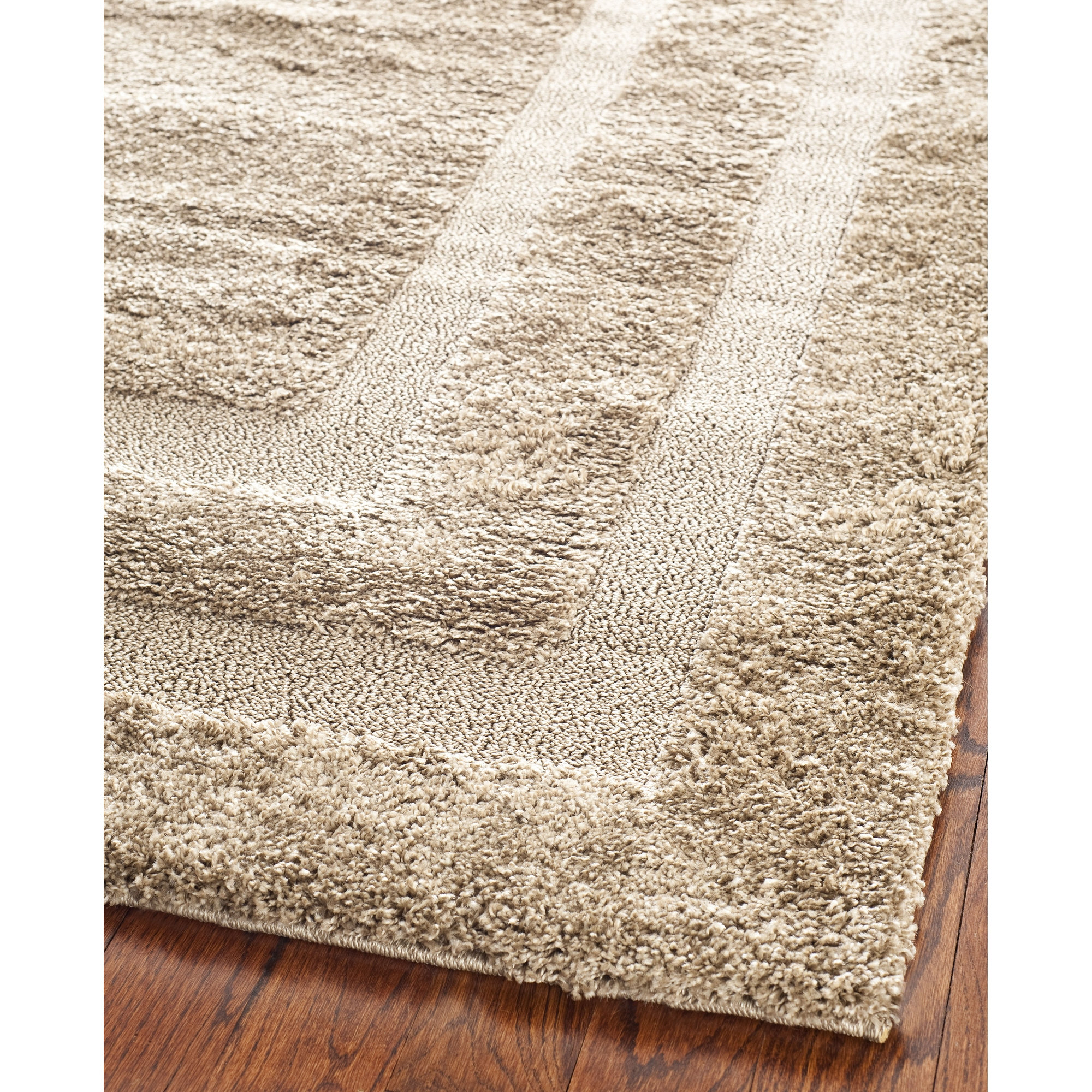 Safavieh Florida Shag safavieh florida shag beige area rug reviews wayfair Safavieh Florida Shag safavieh florida shag beige area rug reviews wayfair