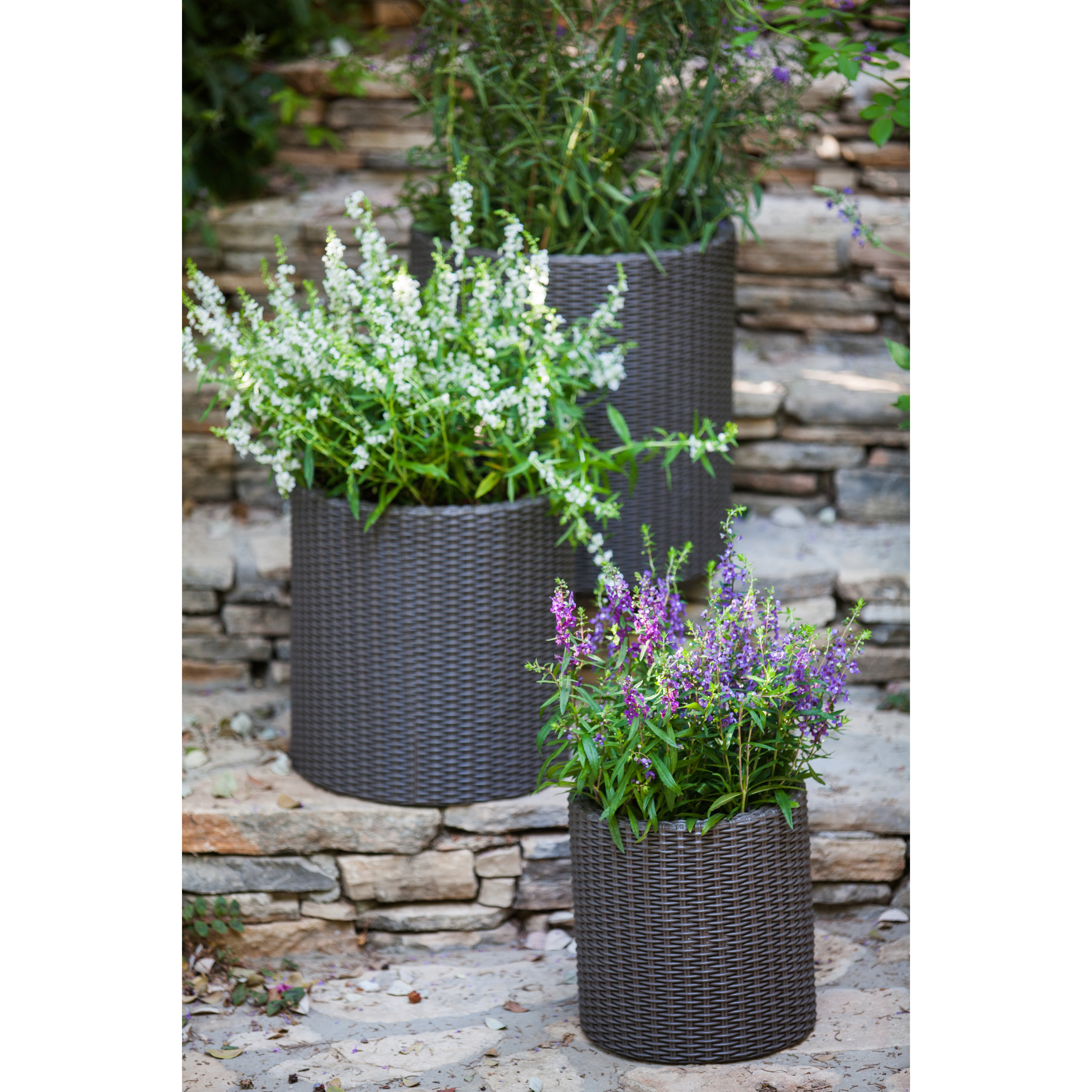 Keter 3 Piece Cylinder Pot Planter Set &amp; Reviews Wayfair