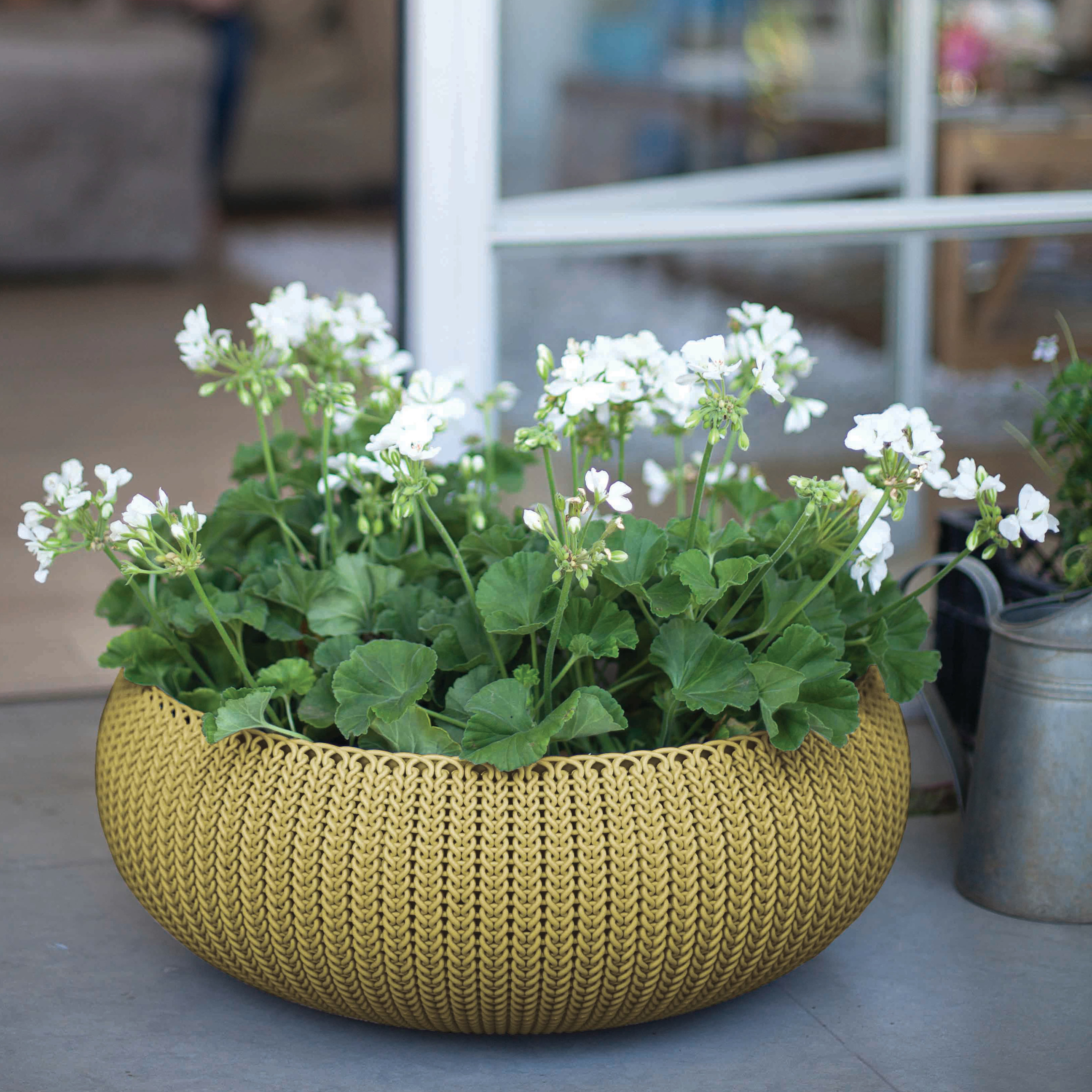 Keter Cozie Round Pot Planter &amp; Reviews Wayfair