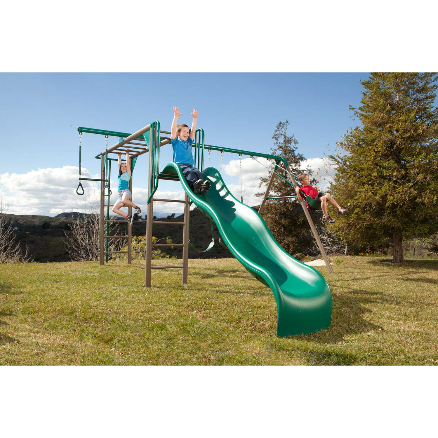 Lifetime Earthtone Monkey Bar Adventure Swing Set ...