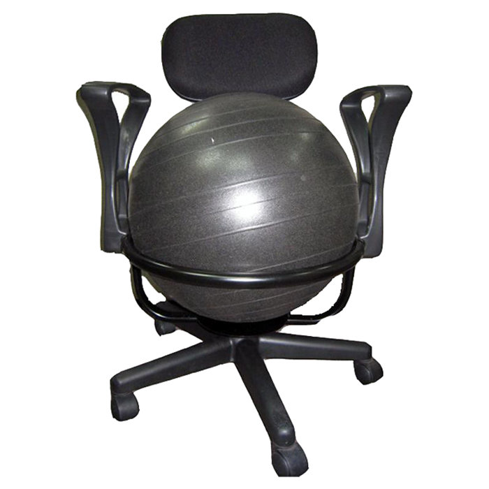 Low Back+Deluxe+Ball+Chair