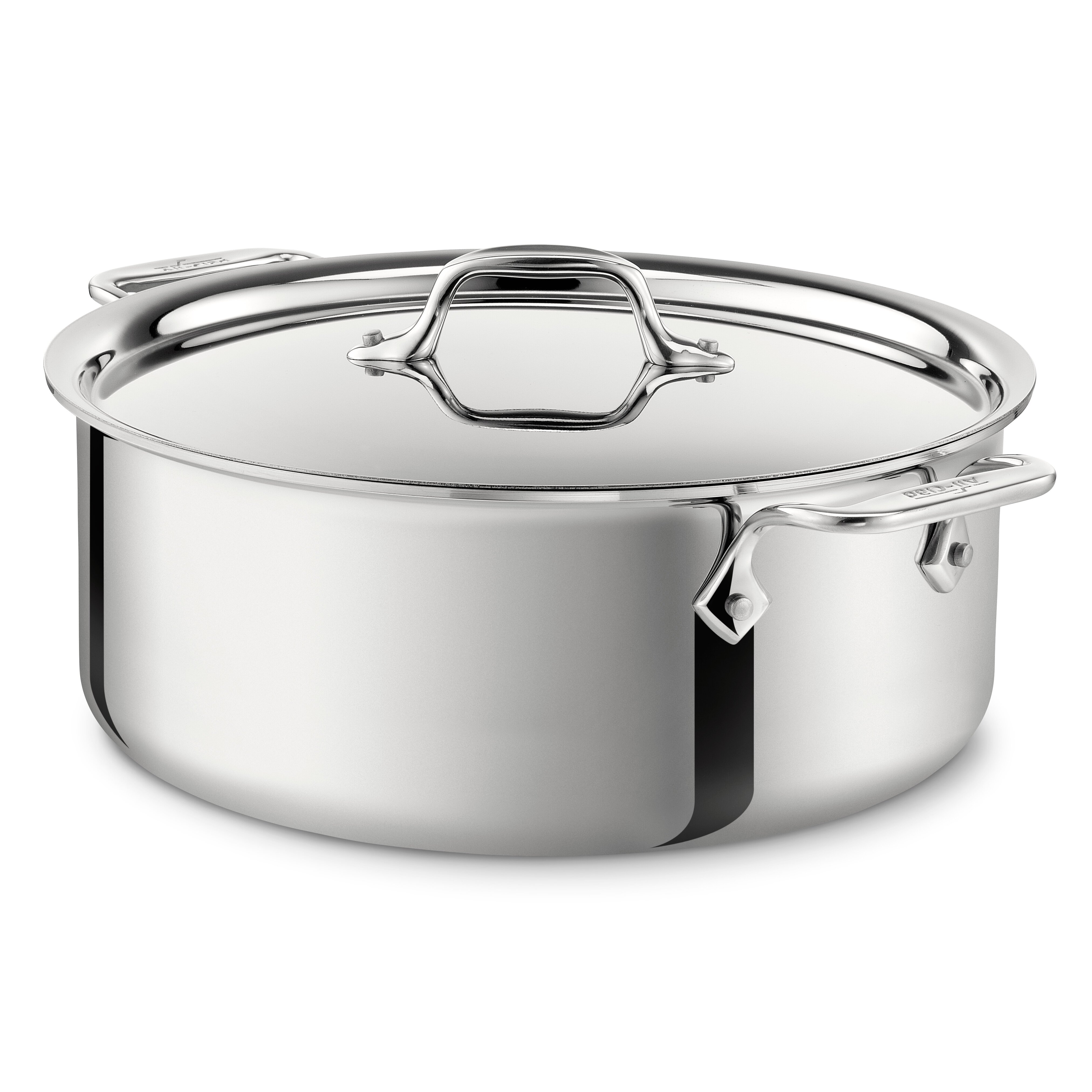 All-Clad Stainless Steel Stock Pot with Lid & Reviews | Wayfair