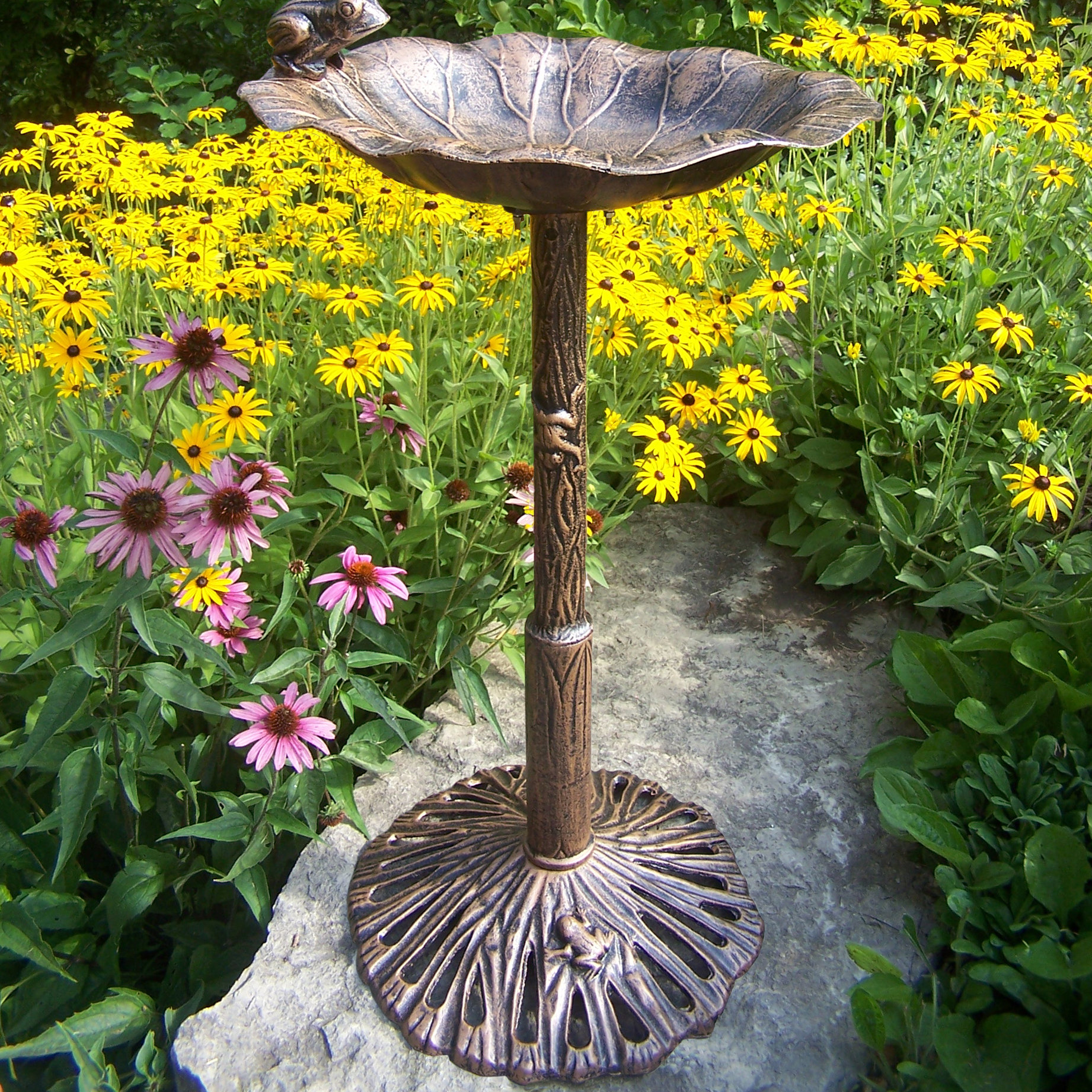 Oakland Living Frog Bird Bath & Reviews Wayfair