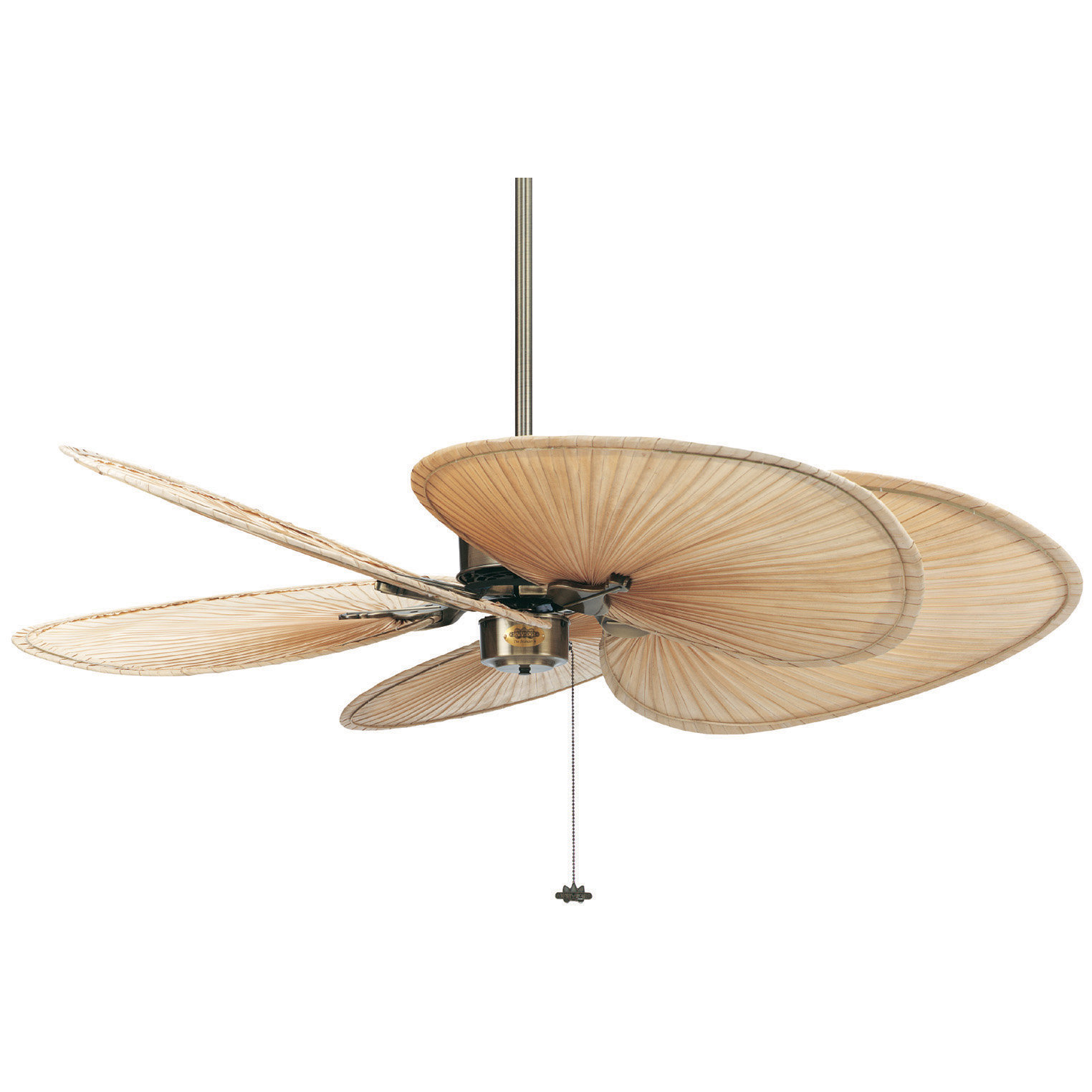 Fanimation Ceiling Fans Winda 7 Furniture Fanimation 52 Islander 5 Palm Blade Ceiling Fan