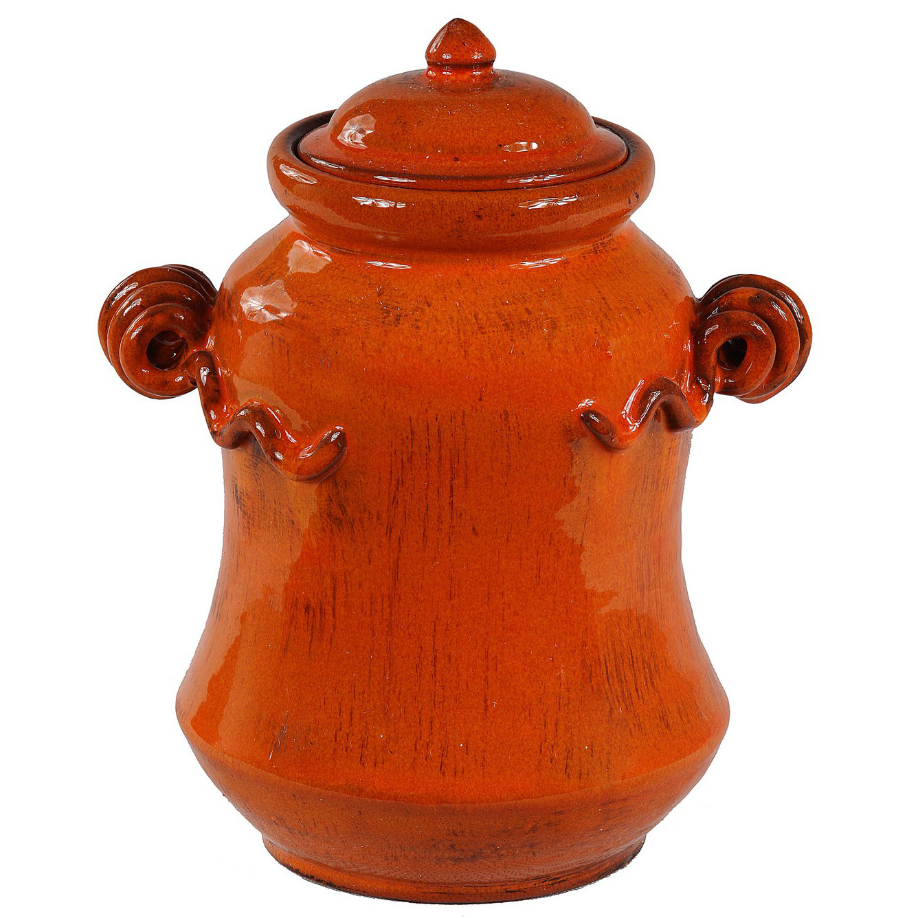 Privilege Lidded Decorative Jar & Reviews Wayfair