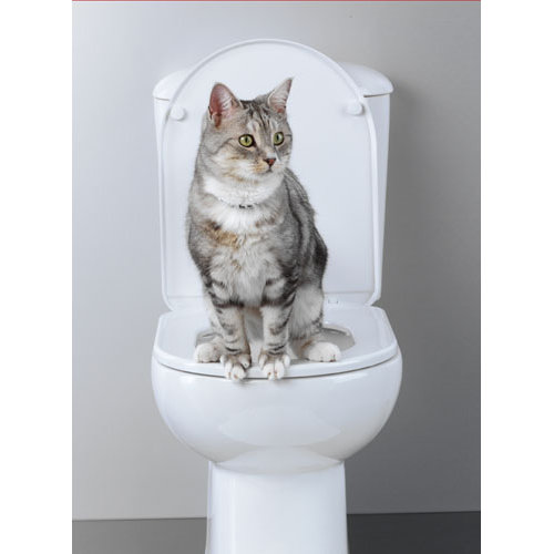 Litter Kwitter Cat Toilet Training System & Reviews Wayfair