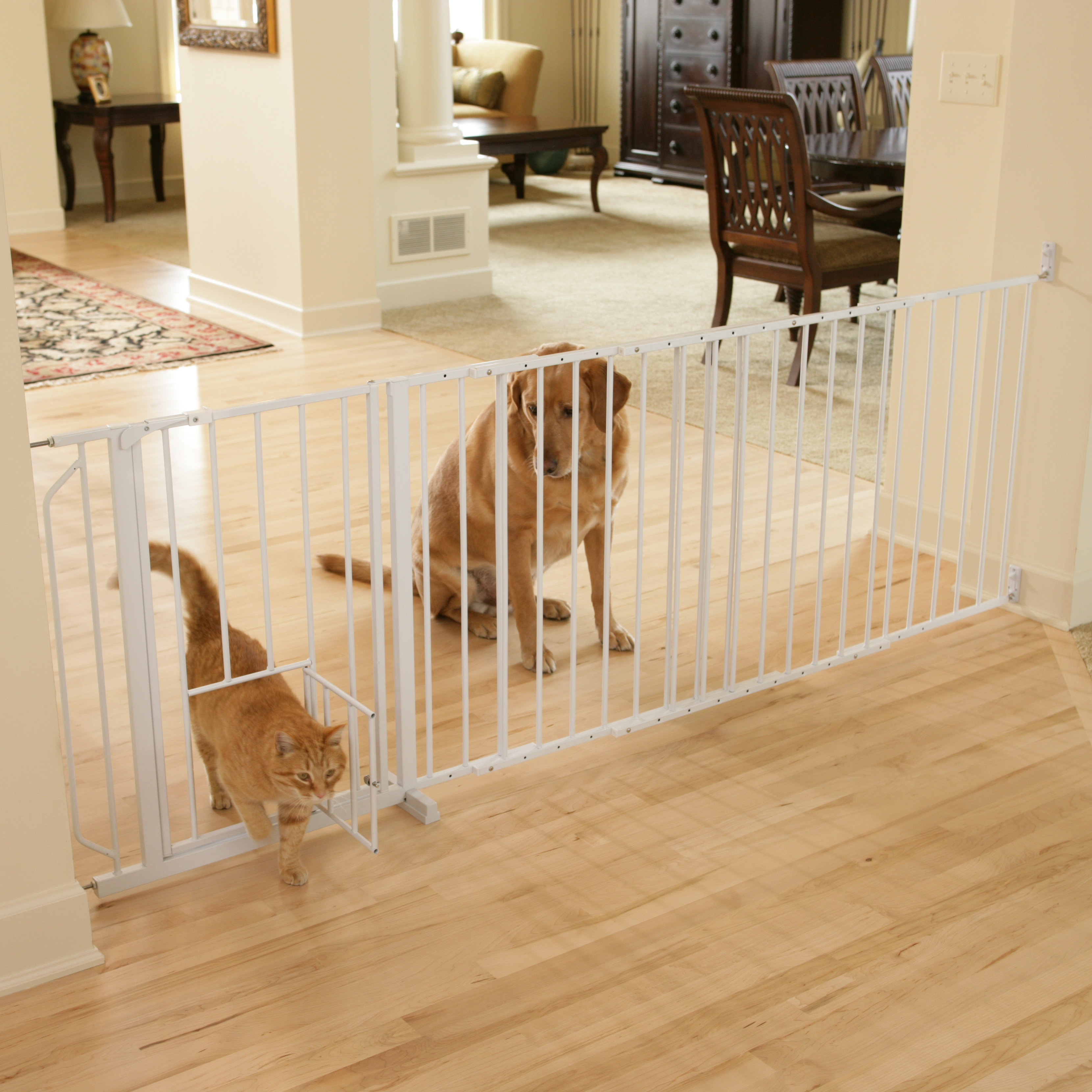 Carlson Pet Gate Extension for 1210PW Maxi Pet Gate & Reviews Wayfair