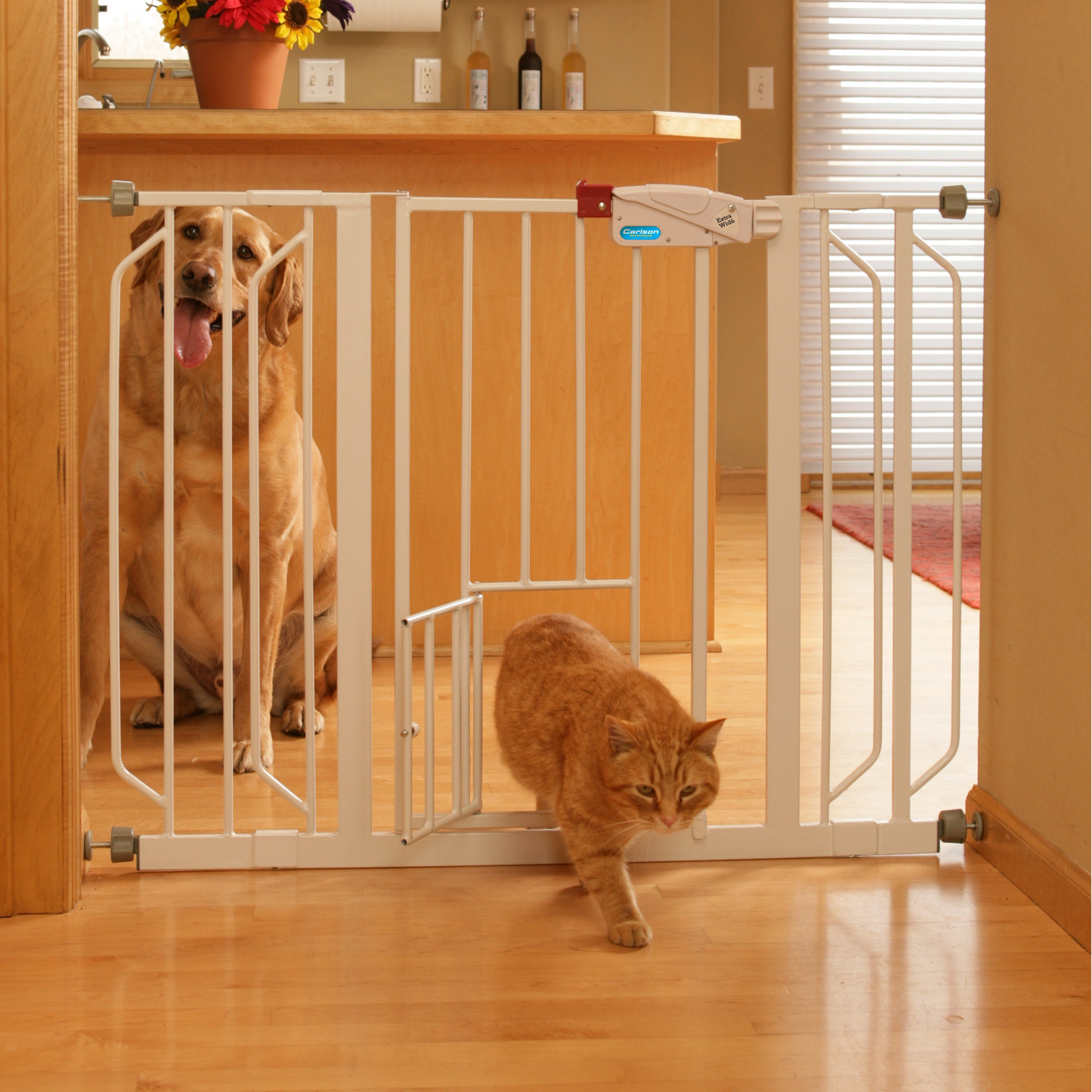 carlson-pet-extra-wide-pet-gate-with-pet-door-reviews-wayfair