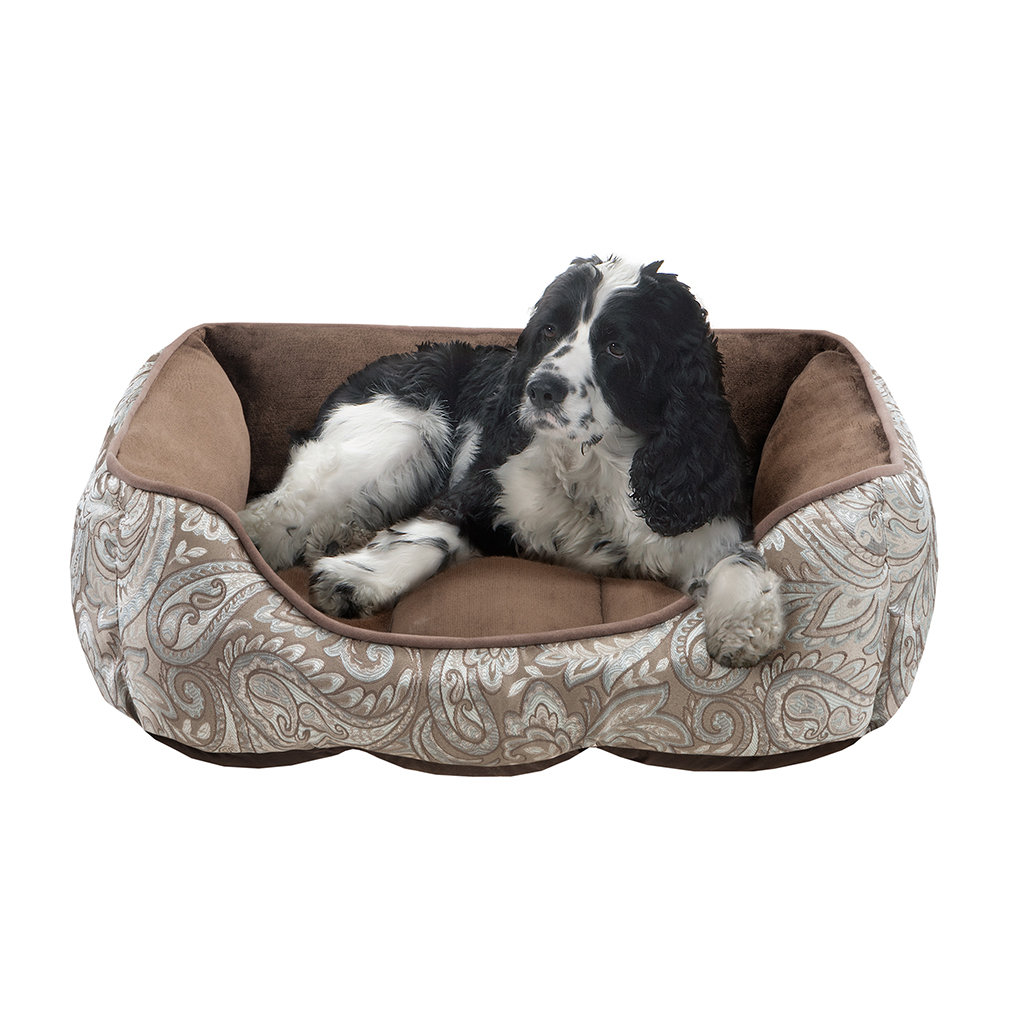 soft cuddly dog beds