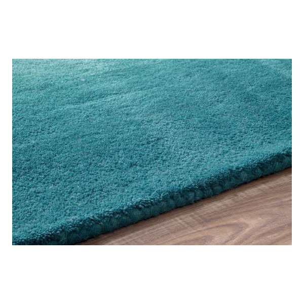 nuLOOM Modella Teal Ombre Border Area Rug & Reviews Wayfair