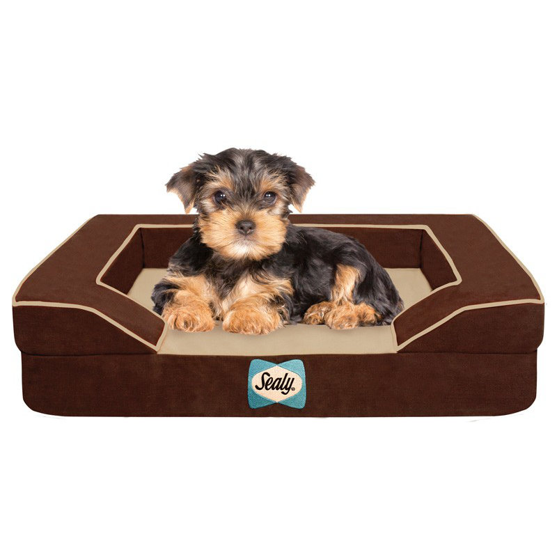 Sealy Bolster Dog Bed & Reviews Wayfair
