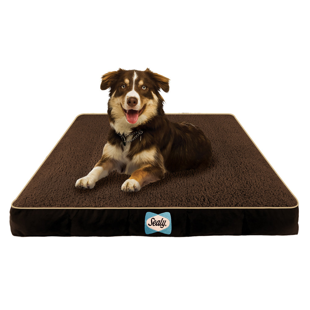 Sealy Cozy Comfy Sherpa Dog Bed by Sealy | Wayfair