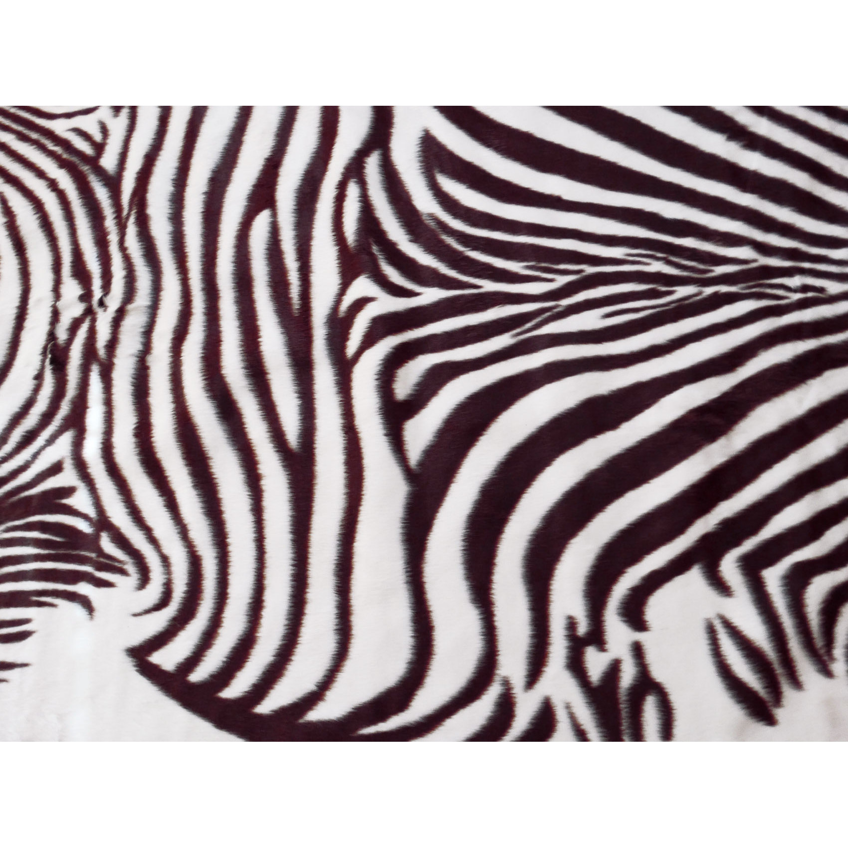 Acura Rugs Animal Hide Brown/White Zebra Area Rug & Reviews Wayfair