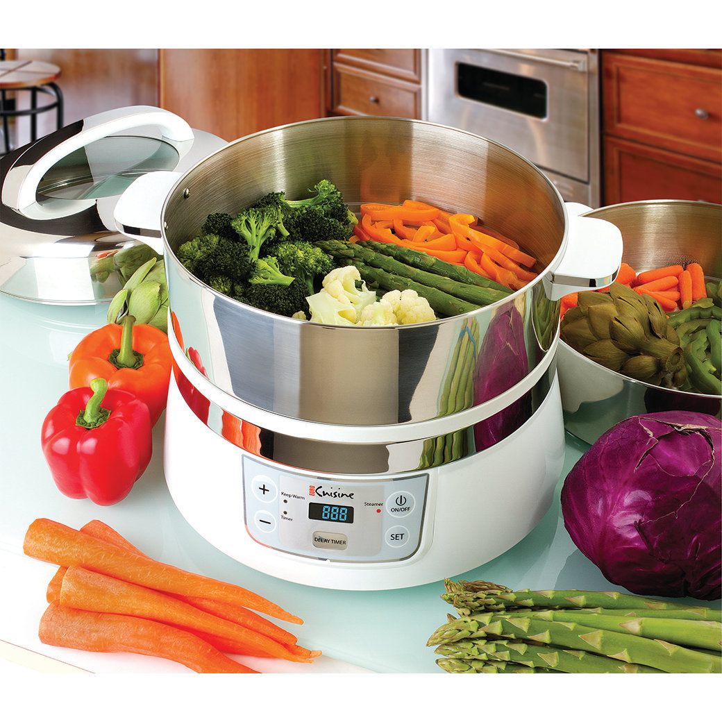 Euro Cuisine 17 Qt. Stainless Steel 2 Tier Electric Food Steamer ...