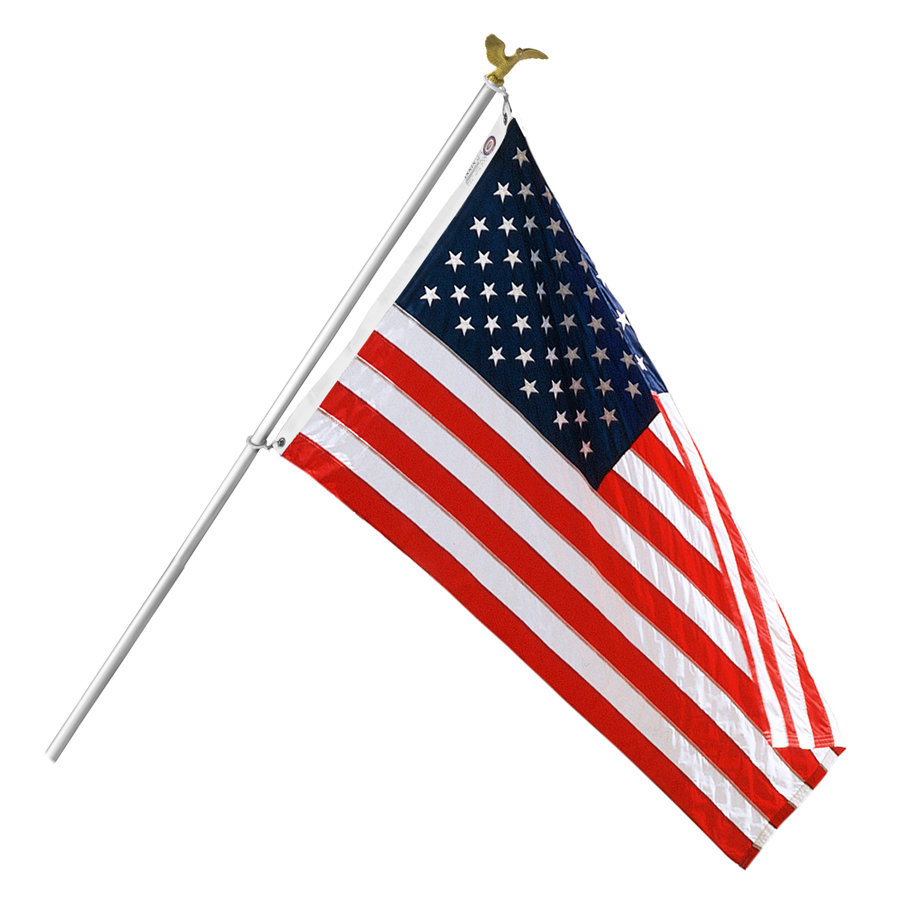 Annin Flagmakers United States Traditional Flag & Reviews Wayfair