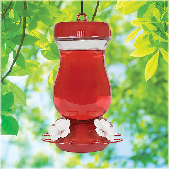perky pet glass top fill hummingbird feeder reviews perky pet glass top fill hummingbird feeder reviews