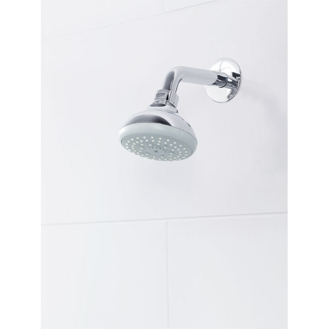 Grohe Tempesta Shower Head & Reviews Wayfair