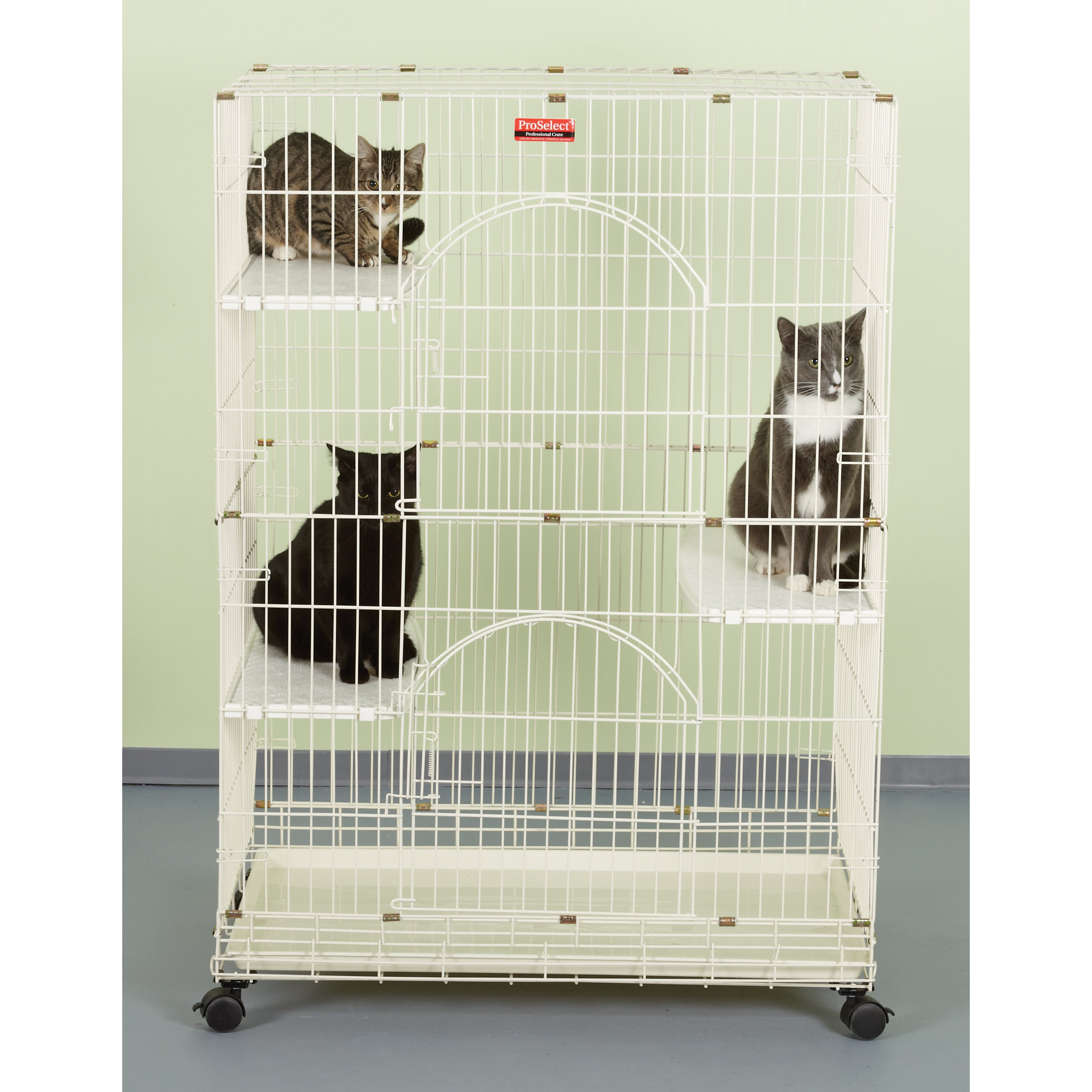ProSelect Foldable Cat Crate & Reviews Wayfair