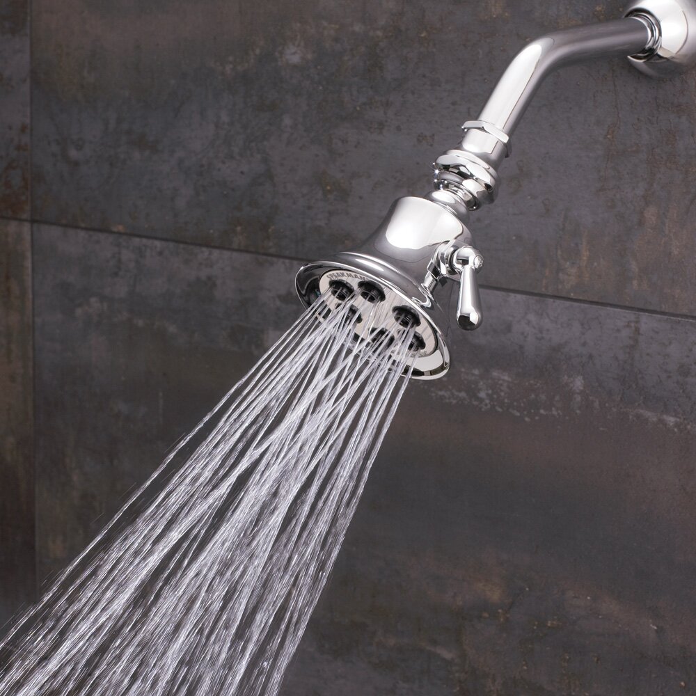 Speakman Retro 6-Jet Shower Head & Reviews | Wayfair