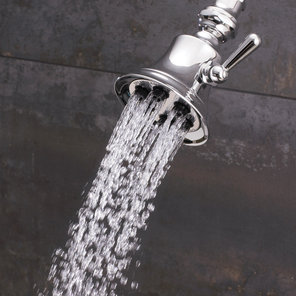 Speakman Retro 6Jet Shower Head & Reviews Wayfair